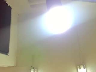AllicePetit