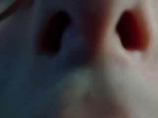 silvadevil