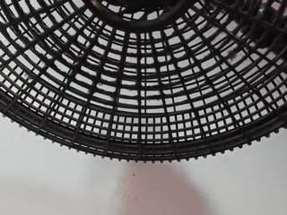 gema-jones