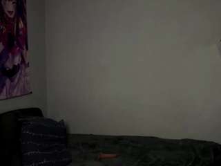 Sofia live cam preview