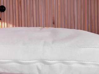 Alena Kenner live cam preview
