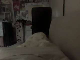 arthurdilbeck webcam