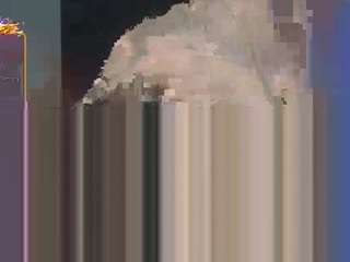 Official_dickeddownunder