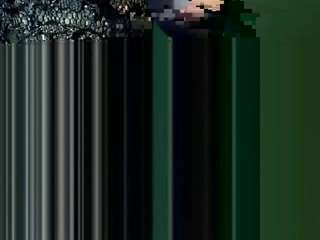 dickeddownunder