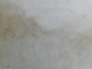 royblackbiglatin