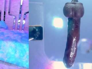 AriHale live cam preview