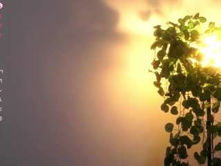 marjorieriesenweber webcam