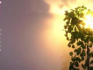 marjorieriesenweber webcam