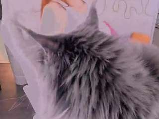 ginnygingergirl