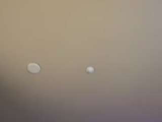 mschanelcarter webcam