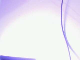 naniis-wish