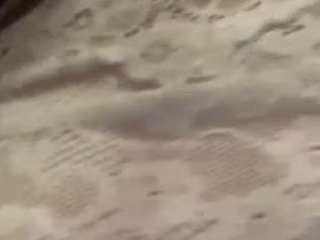 graceinheat Sex Cam Show