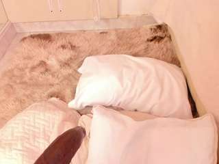 rubi-foxx22 live cam preview