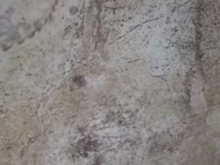 Live webcam model lunitac on Soda Cams