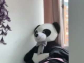 lunitac live webcam show