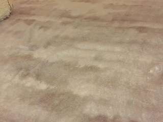 Eva-Hamilton live cam preview