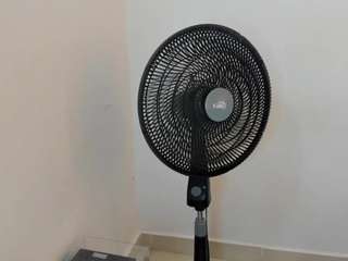 tiffany-spring webcam