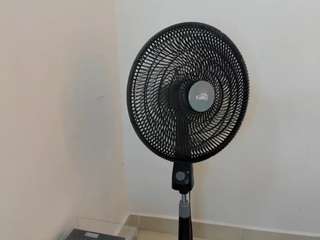 tiffany-spring webcam