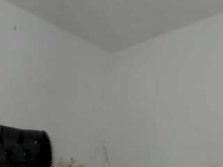 evelottallenx
