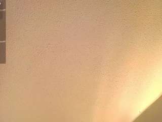 evelottallenx