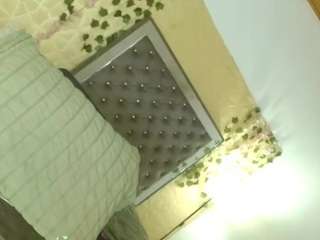 dollfenty-20cm webcam