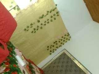 dollfenty-20cm webcam