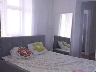 Live stream of loritovey