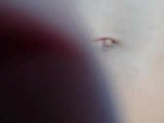lareevitro
