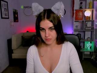 secret-kitti webcam