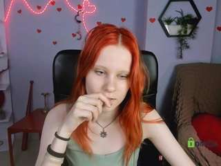 secret-kitti webcam
