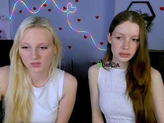 secret-kitti webcam