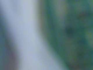 annaberrys Live Webcam on CamSoda