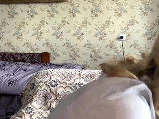 mayedistasio webcam