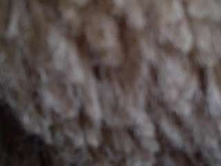 Naomigernert live webcam