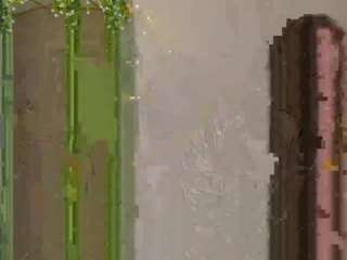 gentle-sine webcam