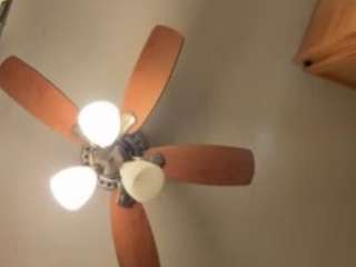 prettydemonthick webcam