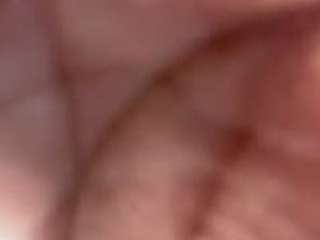 smallblakrod