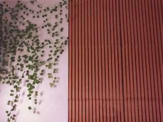 vespersolace live webcam show