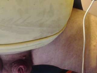 chubbydick8