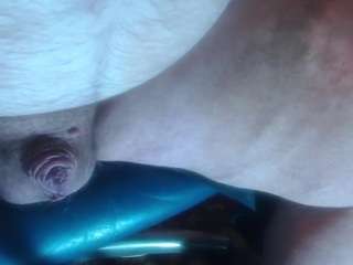 chubbydick8 webcam