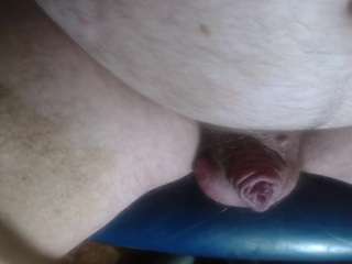 chubbydick8