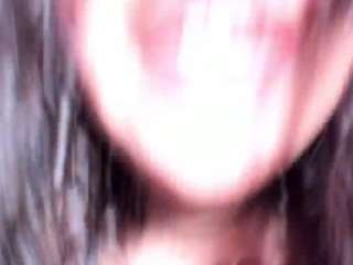 tulipxo