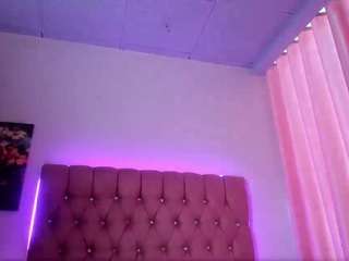 tulipxo live profile