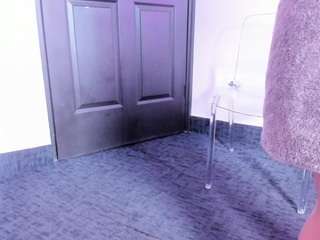 Tulipxo live cam preview