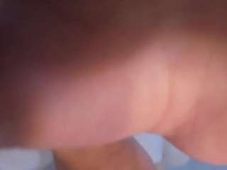 amber-willow