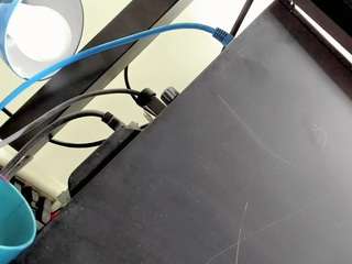 alice-yermanotta