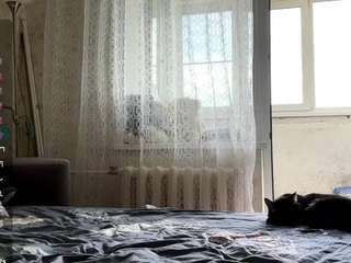 dorcasgoffredo webcam