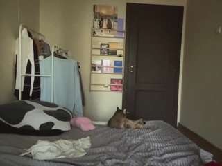 deeannaamidon