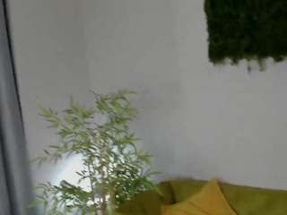Sasha-misss's cam show statistics and live stream