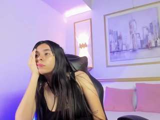 fer-333 webcam